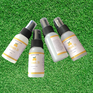 CleanIt toilet seat spray